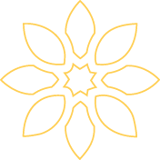 A yellow flower with a yellow center.

Description generated by AI